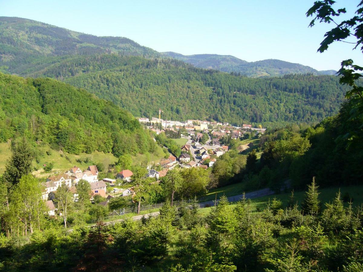 Le Tricotin Gite 2-4 Personnes Sainte-Marie-aux-Mines Dış mekan fotoğraf